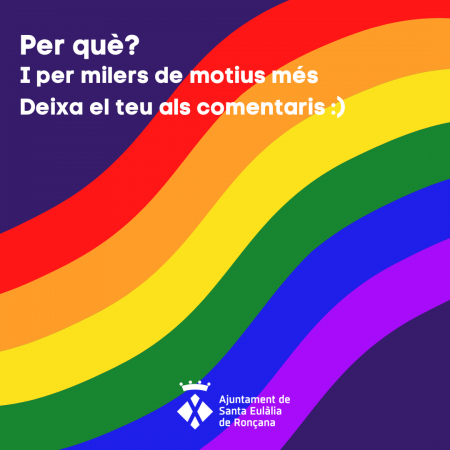 Què i perquè es celebra l'Orgull LGBTI+ 7