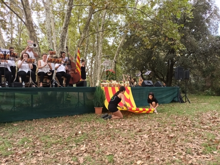 Diada de Catalunya 2022