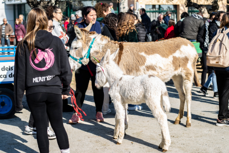 Tres Tombs