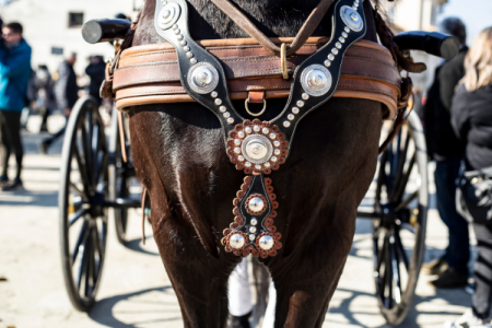 Tres Tombs