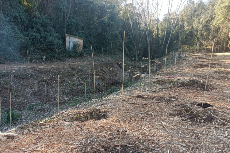 Torrent de les Tres Pedres