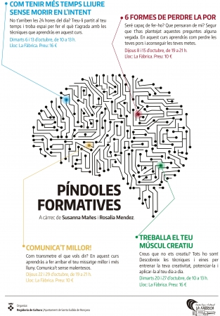 Píndoles formatives