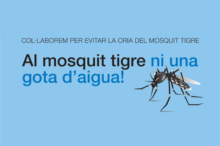 Mosquit tigre