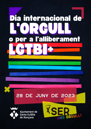 Dia internacional de l'orgull LGTBI
