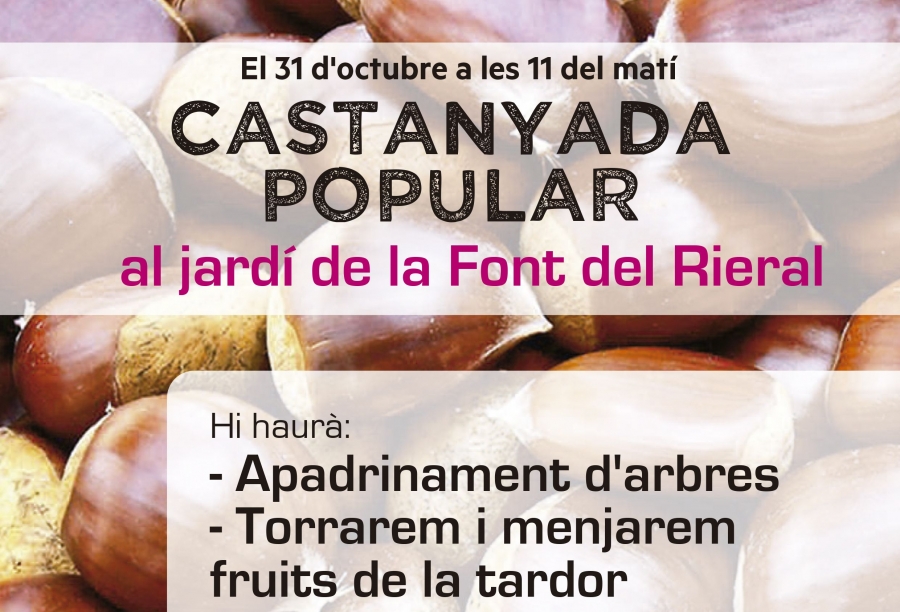 Castanyada La Font del Rieral