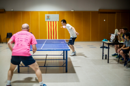 Torneig ping-pong