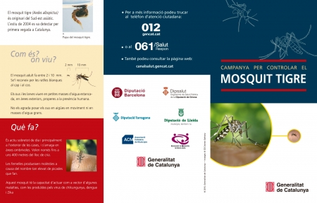 Mosquit tigre