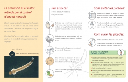 Mosquit tigre