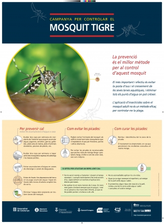 Mosquit tigre