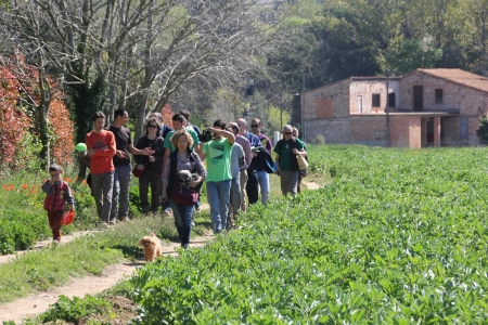 Visita guiada al Molí d'en Vendrell