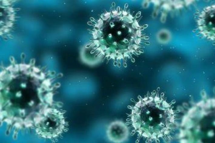 Enterovirus