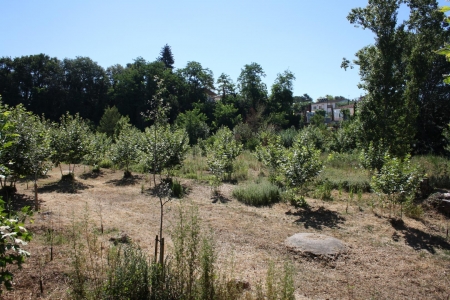 Torrent de Can Font