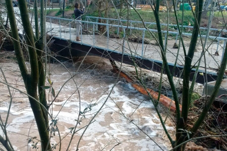 Alguns troncs han caigut per la força de l'aigua del riu