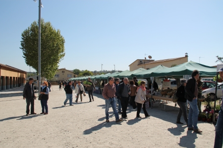 La 8a Fira Lliga't a la Terra va comptar amb 800 persones