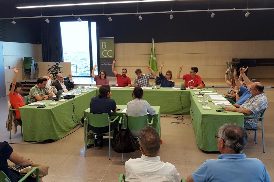 Moment de la votació per a l'adhesió al Pacte Nacional pel Referèndum