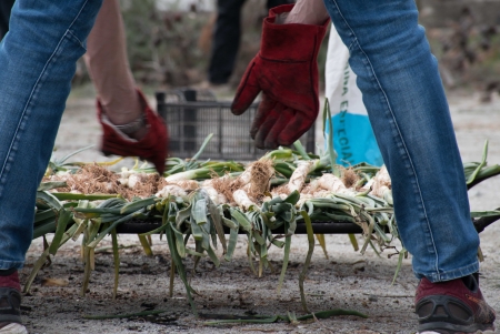 El calçot, plat estrella