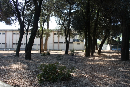 Instal·lació de les noves jardineres al bosc de l'escola Ronçana