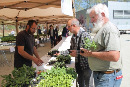 Venda de planter durant la 10a Fira Lliga't a la Terra