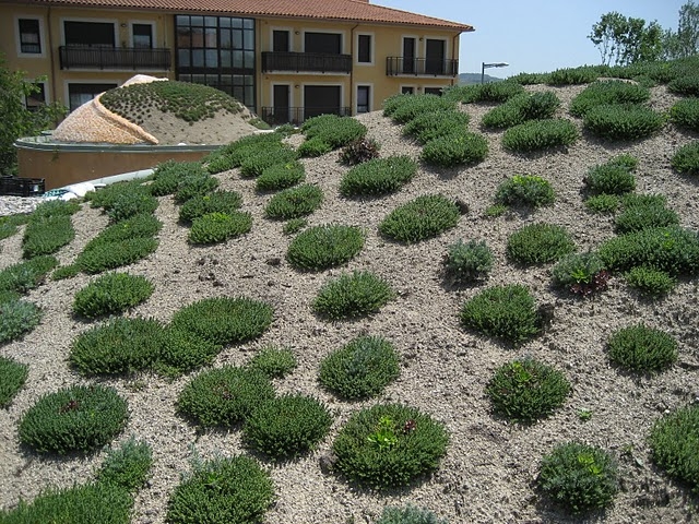 Coberta de l’escola