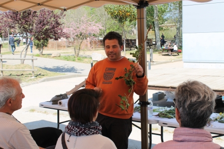 Taller pràctic sobre els balcons subterranis