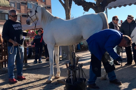 Procés de posar la ferradura al cavall